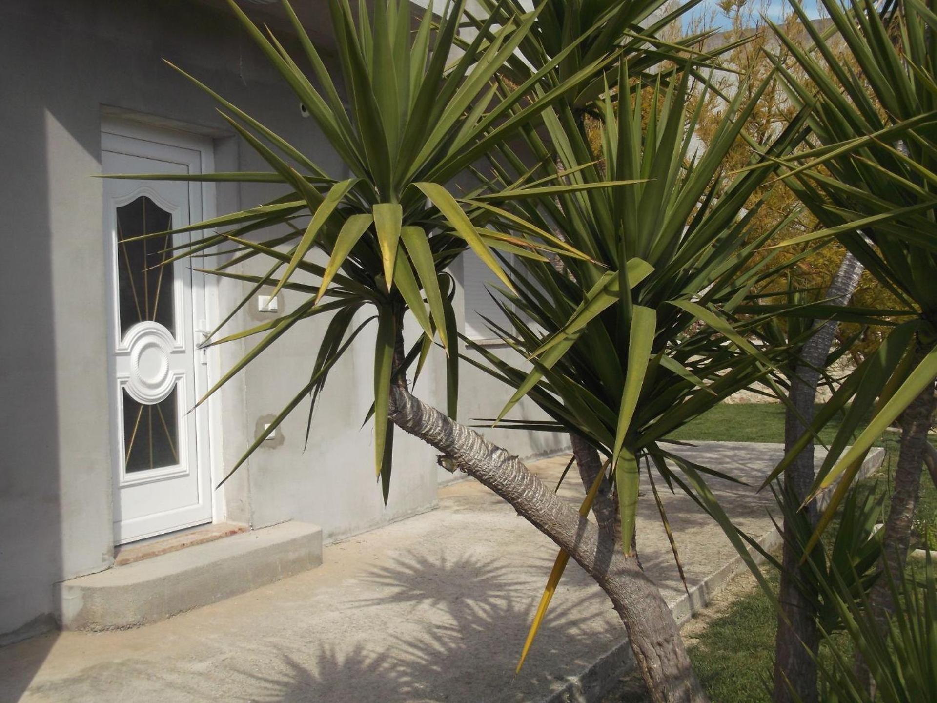 Apartments Ivica Kastela Exterior photo